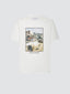 White Cotton Jersey T-shirt | Jacob Cohën