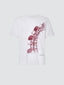 White Grand Tour Wien Cotton Jersey T-shirt | Jacob Cohën