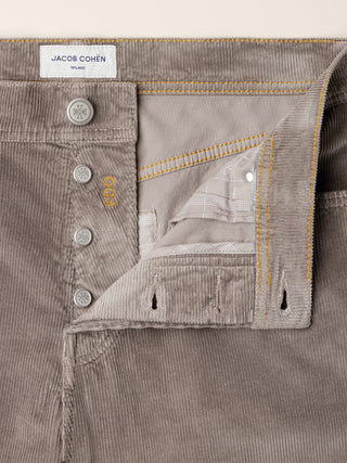 PANT 5 PKT REGULAR STRAIGHT FIT EDO