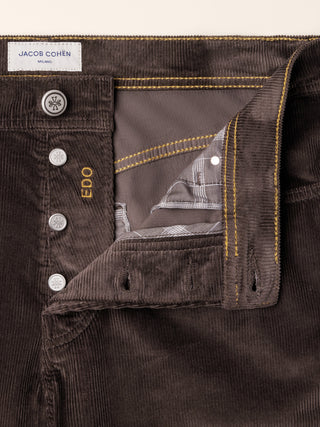 PANT 5 PKT REGULAR STRAIGHT FIT EDO