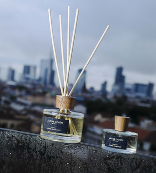 Jacob Cohën reed diffuser and home perfume bottle with wooden caps on a rain-speckled ledge, city skyline in the background
