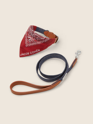 Kit de collar y correa para perro en denim con detalles en piel y bandana