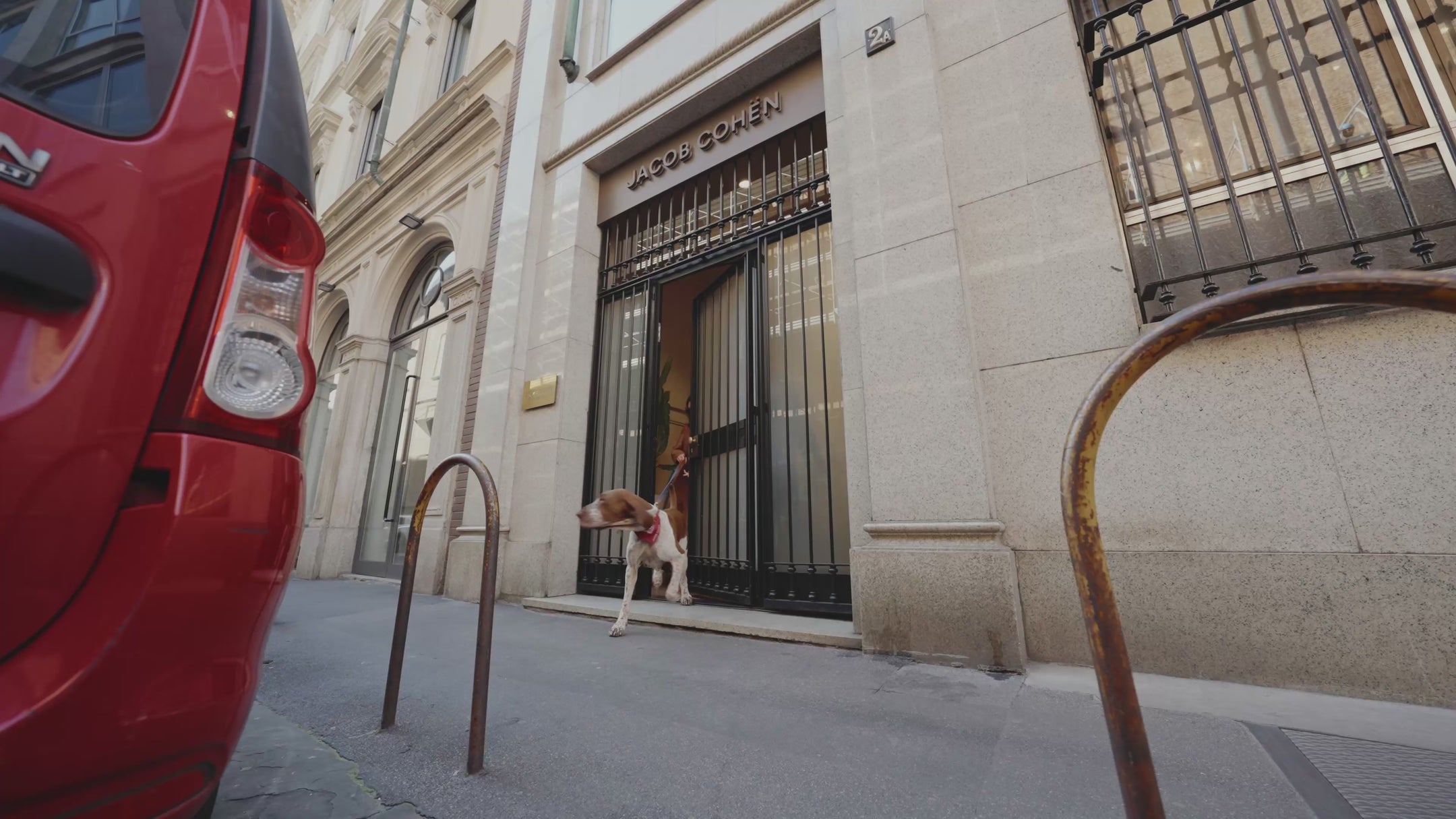 Video showcasing dog clothing and accessories, filmed on the streets of Milan and in a park. Featured looks include a French Bulldog wearing a blue coat with a red polka-dot bandana, alongside a toy poodle and an Italian Pointer (Bracco Italiano) dog, shown with a woman in an urban park setting with lush green trees.